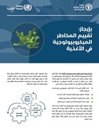 Arabic MRA brochure pub cover