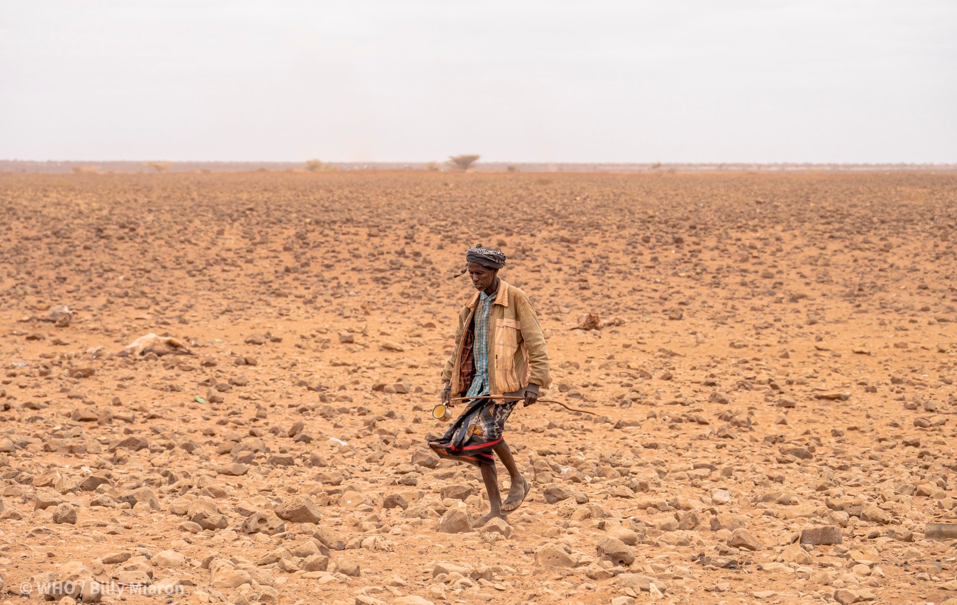 a person walking across dry plains