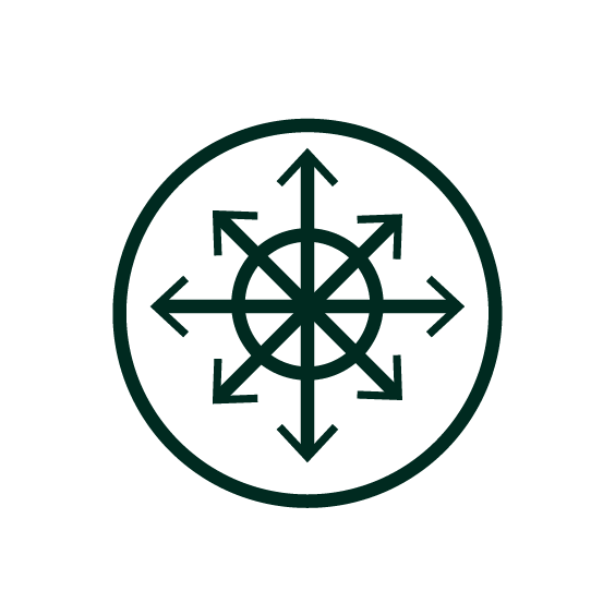 New NTD Road map 2021–2030. NTDs: together towards 2030. Pillar 1.