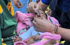 Baby receiving poliovirus vaccine in PNG